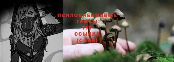прущие крисы Магас
