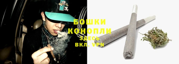 прущие крисы Магас